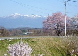 郡山市鬼生田の風景