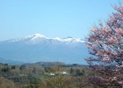 郡山市鬼生田の風景