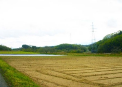 郡山市鬼生田の風景