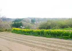 郡山市鬼生田の風景