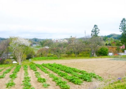 郡山市鬼生田の風景